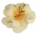 KWIAT CUKROWY MAGNOLIA DEKORACJA TORT ECRU 1x