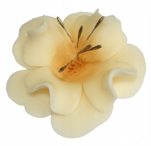 KWIAT CUKROWY MAGNOLIA DEKORACJA TORT ECRU 1x KWIAT CUKROWY MAGNOLIA DEKORACJA TORT ECRU 1x