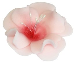 KWIAT CUKROWY MAGNOLIA DEKORACJA TORT RÓŻOWY 1x