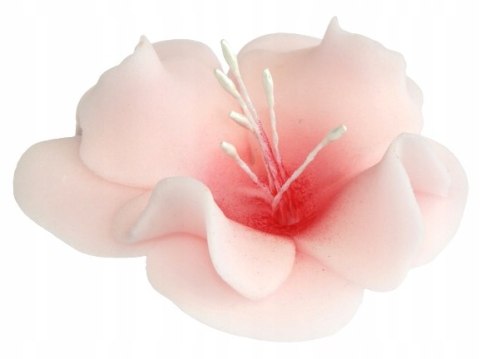 KWIAT CUKROWY MAGNOLIA DEKORACJA TORT RÓŻOWY 1x KWIAT CUKROWY MAGNOLIA DEKORACJA TORT RÓŻOWY 1x