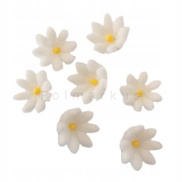 Kwiaty Stokrotka mini cukrowa biała śr.1cm opak.10 szt.