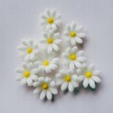 Kwiaty Stokrotka mini cukrowa biała śr.1cm opak.10 szt.