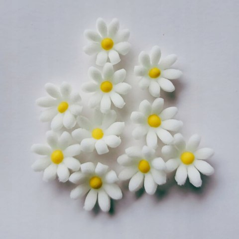 Kwiaty Stokrotka mini cukrowa biała śr.1cm opak.10 szt. Kwiaty Stokrotka mini cukrowa biała śr.1cm opak.10 szt.