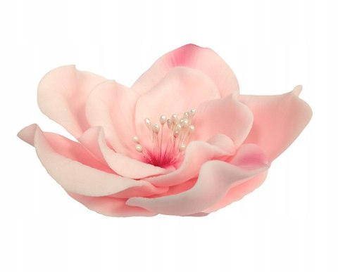 Eustoma różowy kwiat z masy cukrowej Eustoma różowy kwiat z masy cukrowej