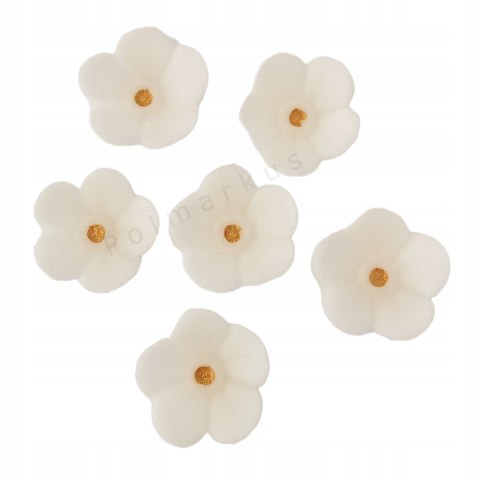 Kwiat niezapominajka biała śr. 2,5 cm opak.7 szt. Kwiat niezapominajka biała śr. 2,5 cm opak.7 szt.