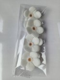 Kwiat niezapominajka biała śr. 2,5 cm opak.7 szt.