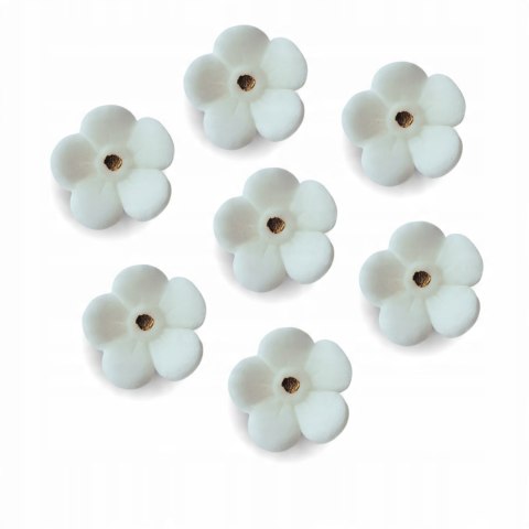 Kwiat niezapominajka biała śr. 2,5 cm opak.7 szt. Kwiat niezapominajka biała śr. 2,5 cm opak.7 szt.